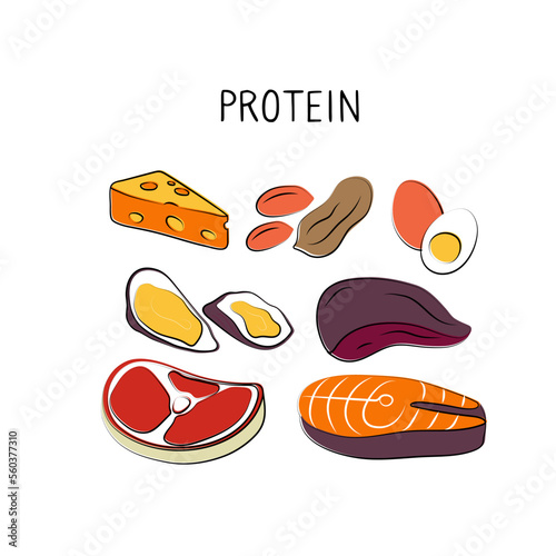 Protein-containing food. Groups of healthy products containing vitamins and minerals. Set of fruits, vegetables, meats, fish and dairy.