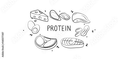 Protein-containing food. Groups of healthy products containing vitamins and minerals. Set of fruits, vegetables, meats, fish and dairy.