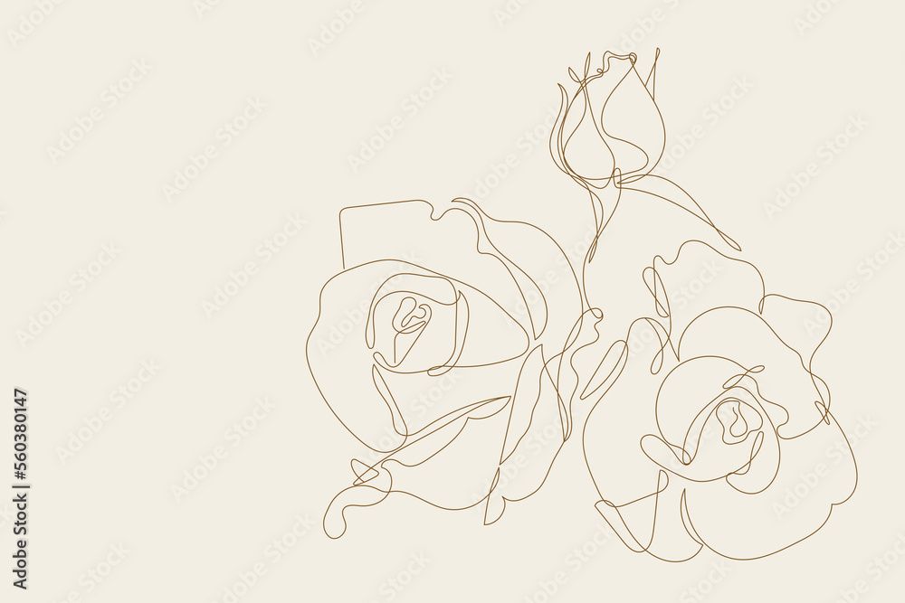 Flowers in continuous line drawing style. Rose flower minimalist linear ...
