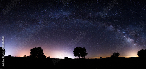 Cuadro en lienzo The Milky way