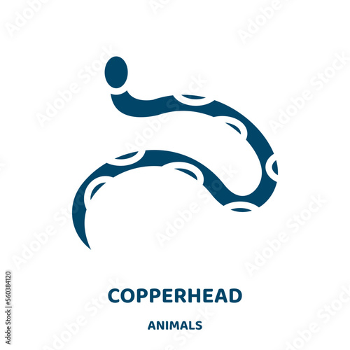 copperhead vector icon from animals collection. viper filled flat symbol for mobile concept and web design. Black snake glyph icon. Isolated sign, logo illustration. Vector graphics.