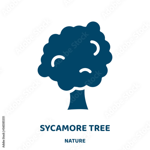 sycamore tree vector icon from nature collection. tree filled flat symbol for mobile concept and web design. Black forest glyph icon. Isolated sign, logo illustration. Vector graphics.