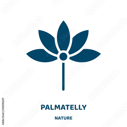 palmatelly vector icon from nature collection. nature filled flat symbol for mobile concept and web design. Black 50 glyph icon. Isolated sign, logo illustration. Vector graphics. photo