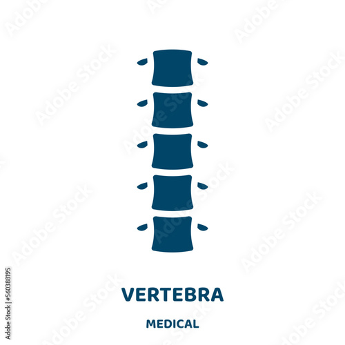 vertebra vector icon from medical collection. medical filled flat symbol for mobile concept and web design. Black bone glyph icon. Isolated sign, logo illustration. Vector graphics.