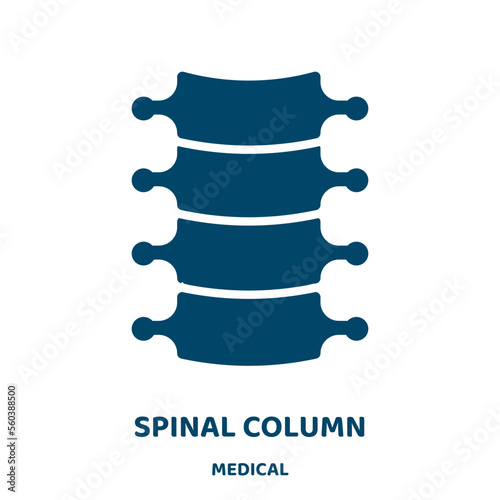 spinal column vector icon from medical collection. body filled flat symbol for mobile concept and web design. Black anatomy glyph icon. Isolated sign, logo illustration. Vector graphics.