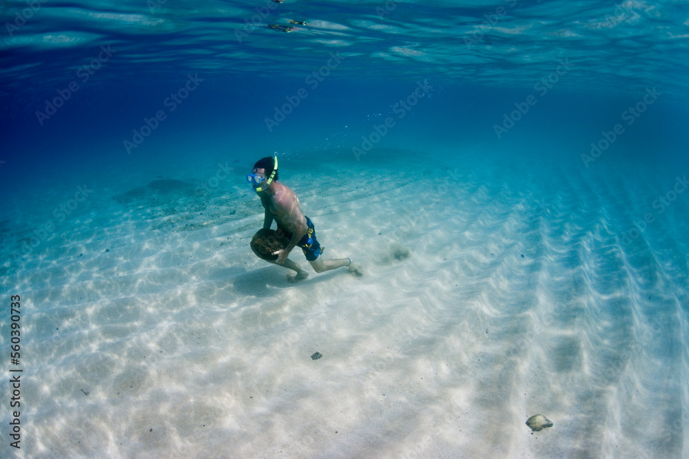 Underwater view of man training with rocks, Waimea, on North Shore of Oahu, Hawaii, USA