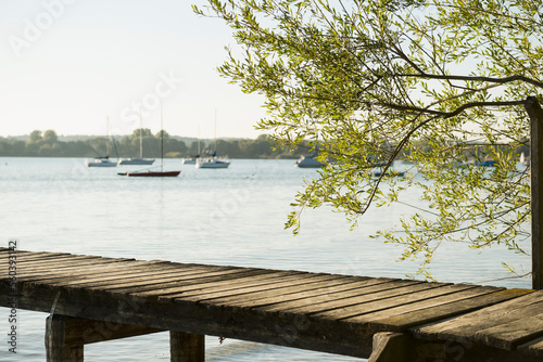 Landing stage wooden jetty lake water tree boats