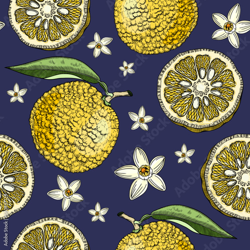 Sketched yuzu background with decorative fruit, leaves, and flowers in engraving style. Hand-drawn citrus plant seamless pattern in color. Asian citron botanical design for print.