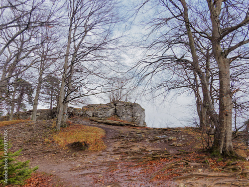 Hangender Stein, Naturdenkmal, Felsen am Raichberg in Albstadt-Onstmettingen, Zollernalbkreis, Baden-Württemberg in der südwestlichen Schwäbischen Alb photo