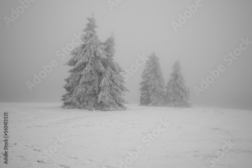 Winterlandschaft in der Rhön- Wanderung zum Heidelstein 7 photo