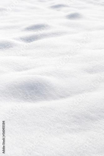 雪景色 © lastpresent