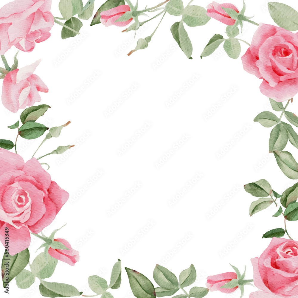 watercolor blooming rose branch flower bouquet wreath frame square banner background watercolor blooming rose branch flower bouquet wreath frame square banner background