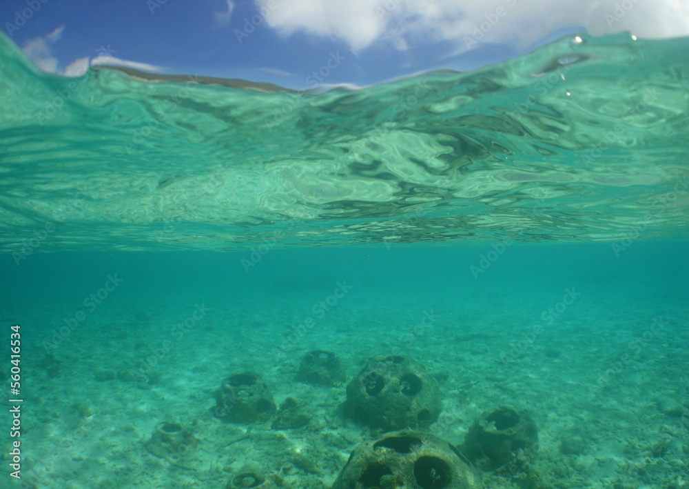 an ideal artificial reef ball for the marine life of the caribbean sea an ideal artificial reef ball for the marine life of the caribbean sea