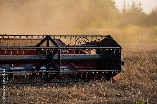 grain harvester, wheat harvest, wheat harvester at work, harvester in the field, harvester working at harvest time