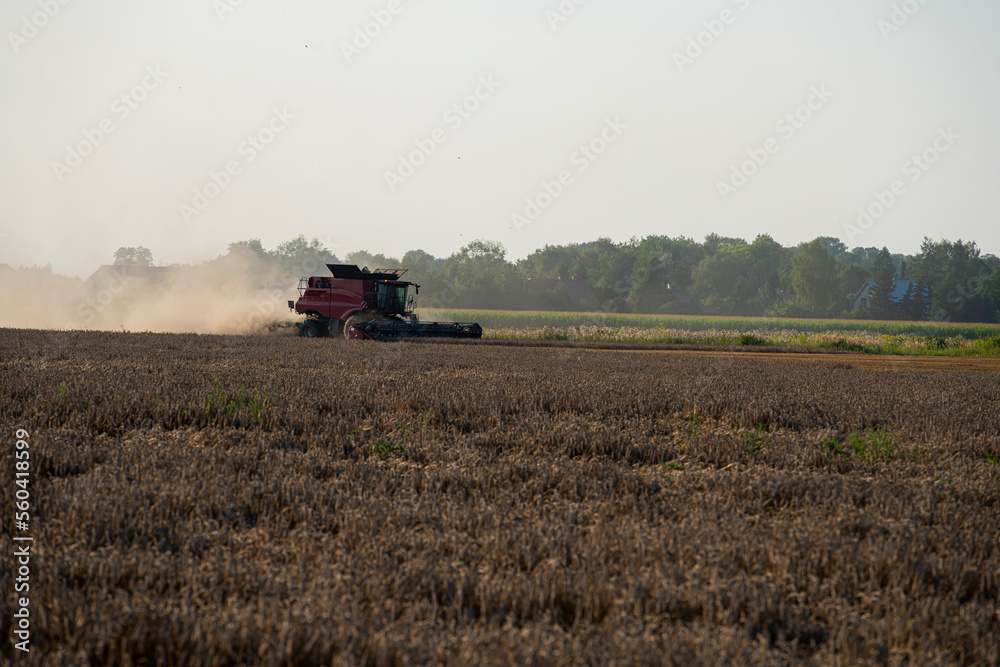 Fototapeta premium grain harvester, wheat harvest, wheat harvester at work, harvester in the field, harvester working at harvest time