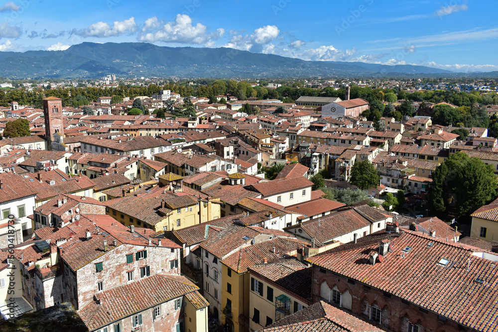 Naklejka premium Widok na miasto Lukka z wieży Guinigi, Toskania, Włochy