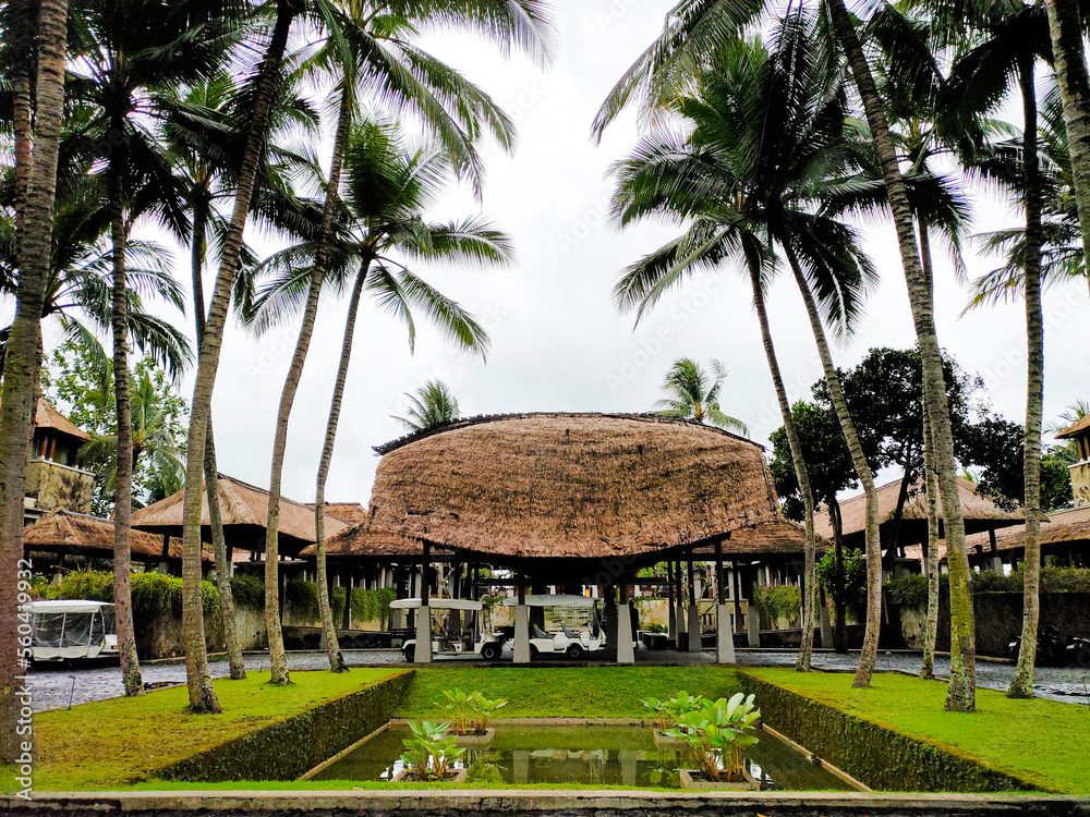 Tropical Resort Hotel in Ubud Bali 
Maya Ubud Resort and Spa