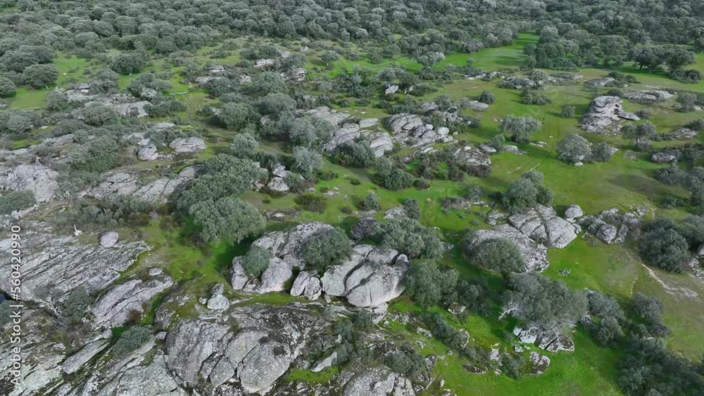 Landscape of holm oak meadows and Mediterranean forest in the surroundings of the Río Seco and the Puente de los Diablos. Pigsty. Charro Field. Salamanca. Castile and Leon. Spain. Europe