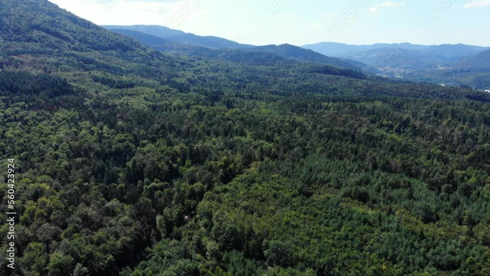Green mountains, slopes covered with mixed forest, aerial shot of Vosges near Orschwiller. Popular place for trekking and hiking, with many walking pathes across forested hills Green mountains, slopes covered with mixed forest, aerial shot of Vosges near Orschwiller. Popular place for trekking and hiking, with many walking pathes across forested hills