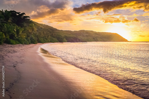 Tropical sandy beach at summer day in Fiji Islands  Pacific ocean