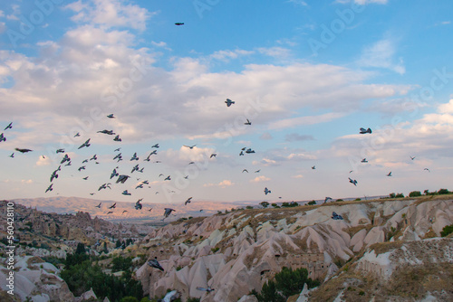Vast hills with flock of birds flying around