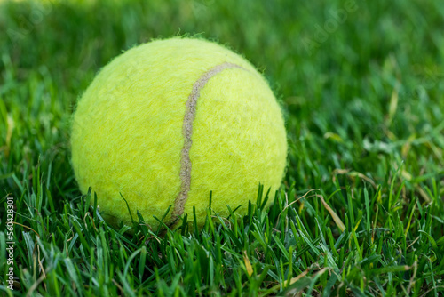 tennis ball on mowed grass