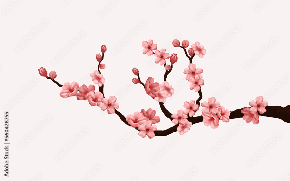 watercolor cherry blossom vector. cherry blossom branch with sakura flower. sakura white background. watercolor cherry bud. cherry blossom flower blooming.vector pink sakura flower background