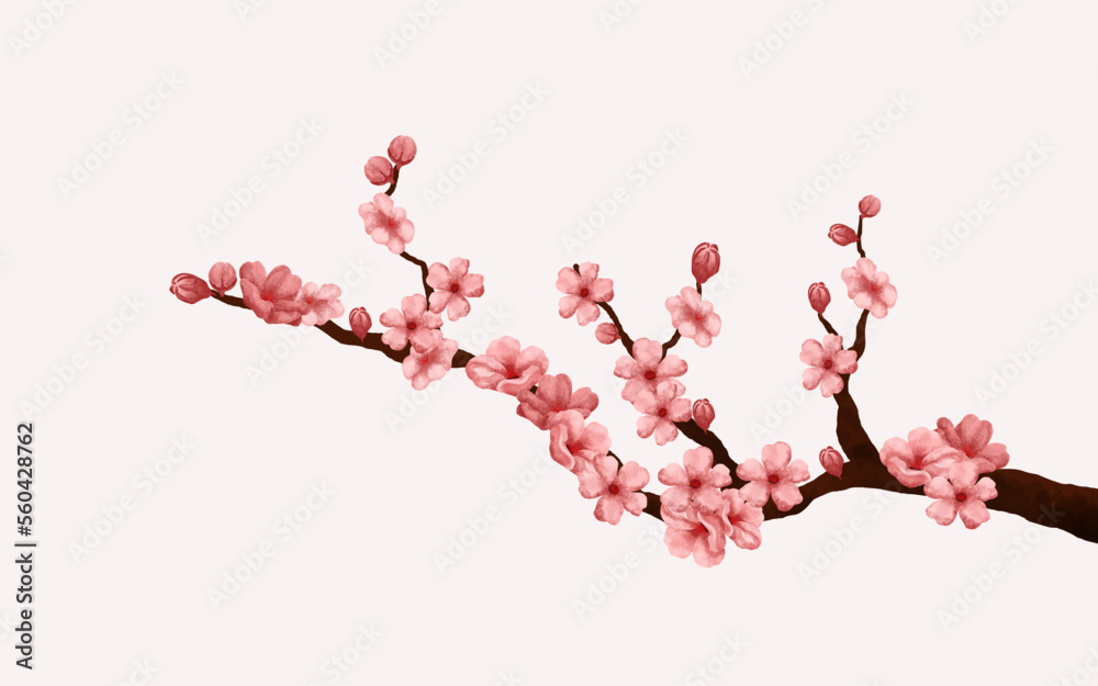 watercolor cherry blossom vector. cherry blossom branch with sakura ...