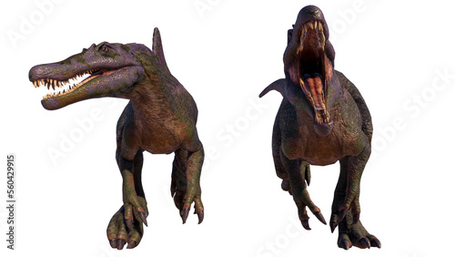 Spinosaurus roaring dinosaur isolated on blank background PNG