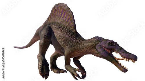 Spinosaurus roaring dinosaur isolated on blank background PNG © akiratrang