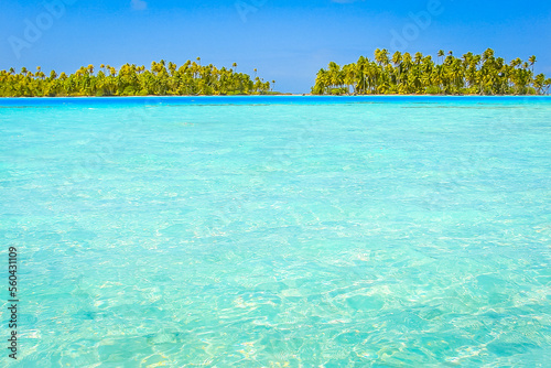 Bora Bora Tropical paradise  Idyllic turquoise beach in French Polynesia  Tahiti