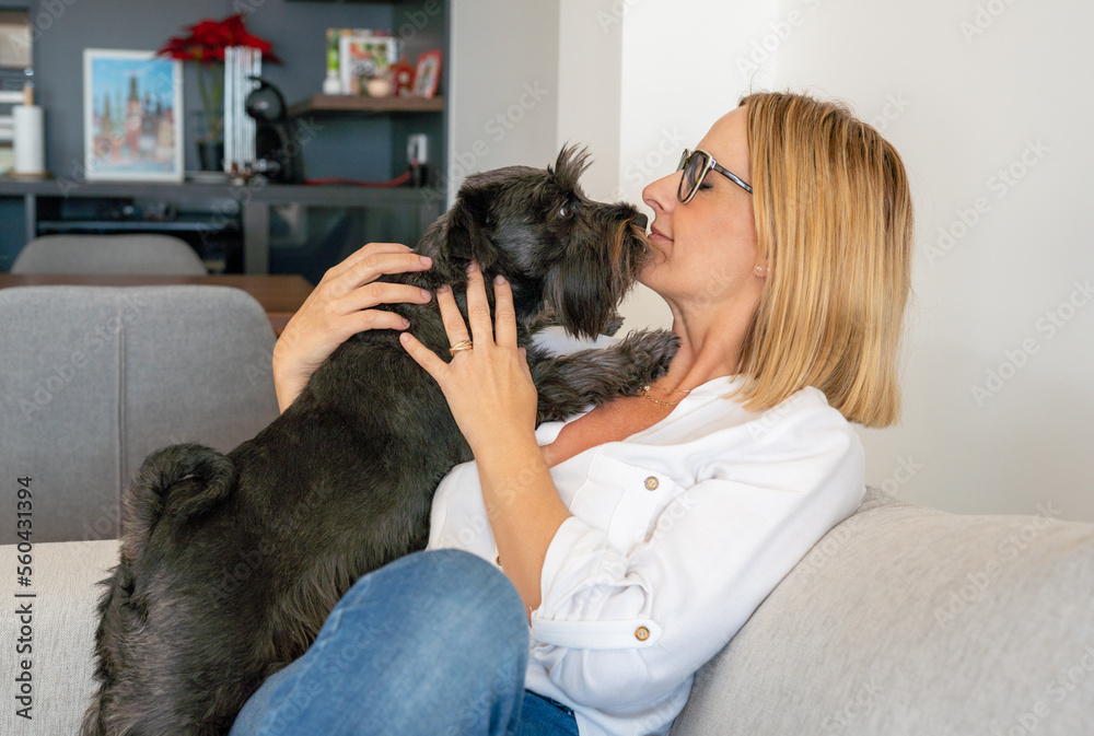 Young woman with her cute Schnauzer at home. Lovely pet Young woman with her cute Schnauzer at home. Lovely pet