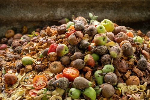 Food Waste. Compostable food scraps. Domestic organic waste for compost from fruits and vegetables. Recyclable materials. Separate waste collection. Compost bin with organic waste