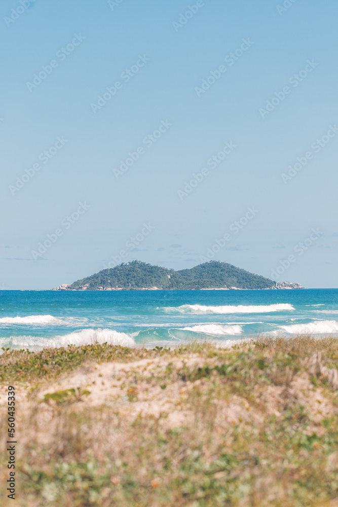 beach in the summer