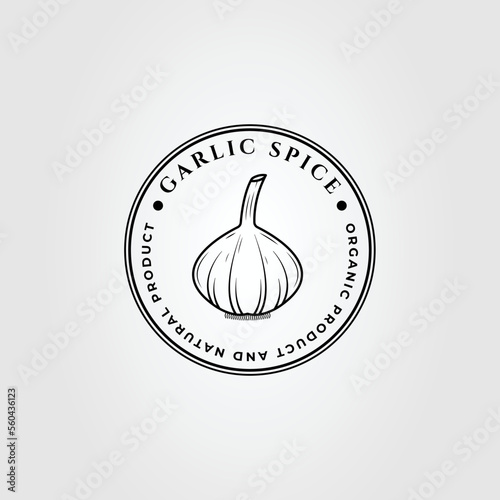 garlic spice or onion vegetable logo vector illustration design.