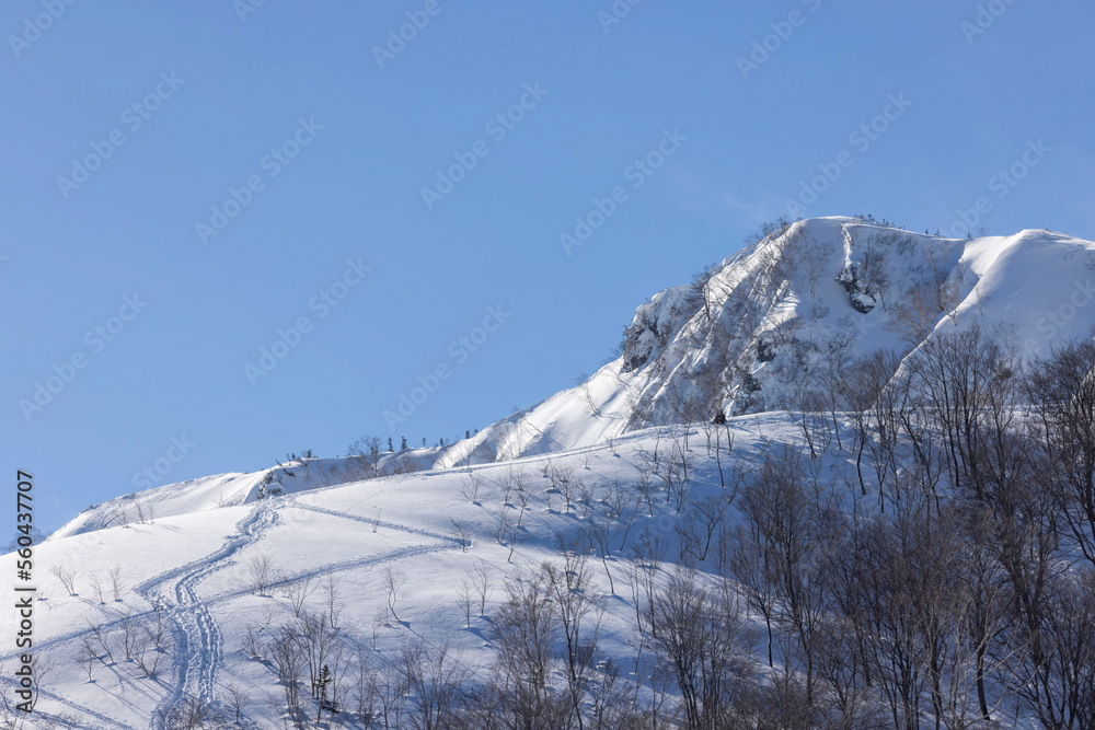 Fototapeta premium snow covered mountains