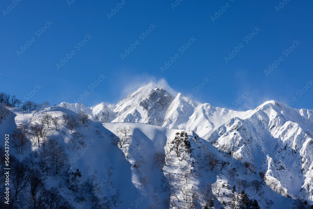 Naklejka premium snow covered mountains