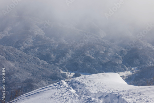 snow covered mountains