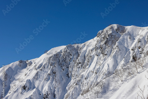 snow covered mountains