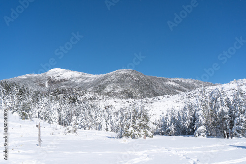 北八ヶ岳の坪庭から見た冬の北横岳 © yuruphoto