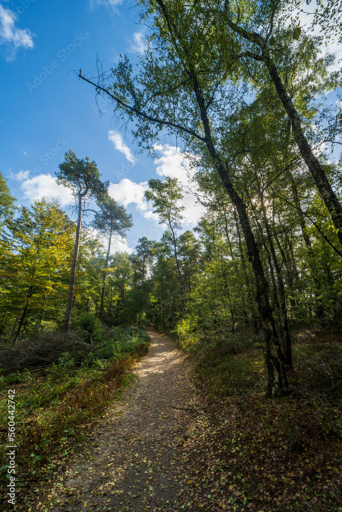 Nature reserve Steinbruch Gravenhorst near Hörstel, Germany