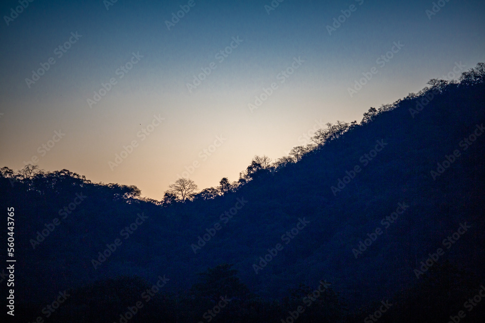 The view of the natural background of the mountain close-up, with blurred fog scattered in the rainy season or the humid climate, with beautiful green trees in the ecological system The view of the natural background of the mountain close-up, with blurred fog scattered in the rainy season or the humid climate, with beautiful green trees in the ecological system