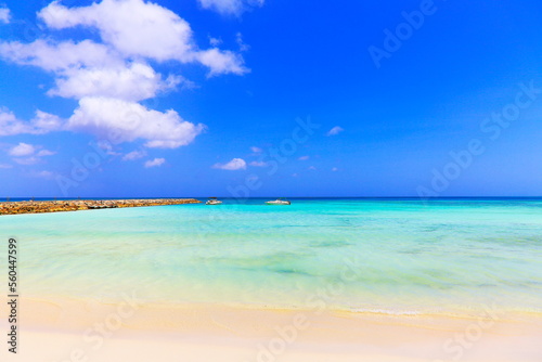 Fototapeta Naklejka Na Ścianę i Meble -  Secluded turquoise beach in Aruba, Caribbean Blue sea, Duth Antilles