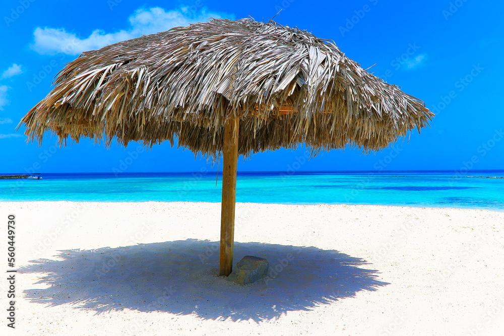 Palapa in secluded beach and turquoise caribbean sea, Aurba, Antilles