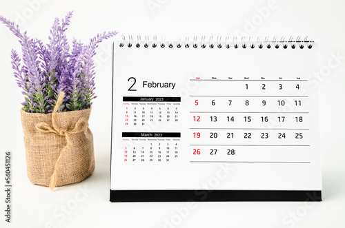 The February 2023 Monthly desk calendar for 2023 year with flower isolated on white background. photo