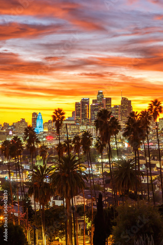 View of downtown Los Angeles skyline with palm trees at sunset portrait format in California United States