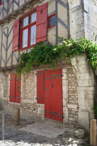 House surrounded by flowers and Hollyhock (Alcea Rosa), Saint Martin en Re, Re Island, Charentes Maritime department, France, Europe