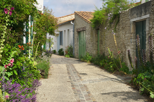 Street with Hollyhock (Alcea Rosa), Saint Martin en Re, Re Island, Charentes Maritime department, France