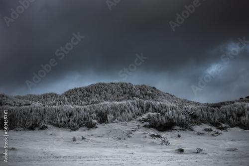 Sand dunes in rainy weather, with dramatic sky at the North Sea, Netherlands