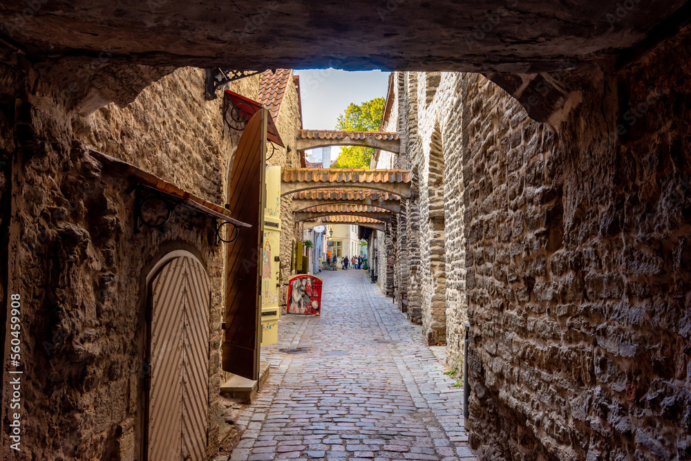 St. Catherine's passage in old town, Tallinn, Estonia